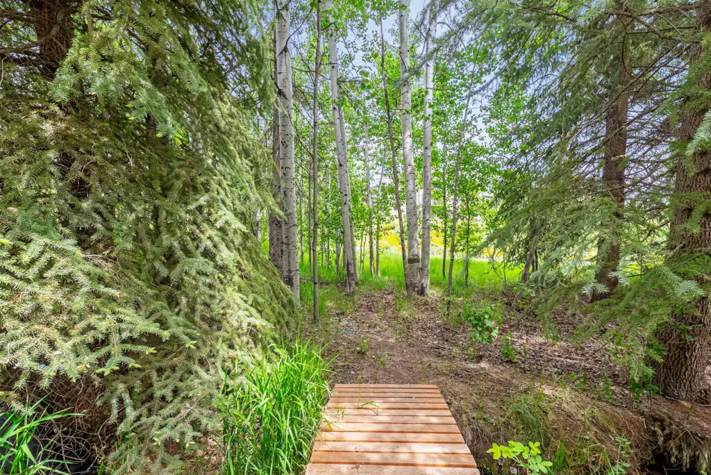 scjk8rtmp1m2pl1ndsa4